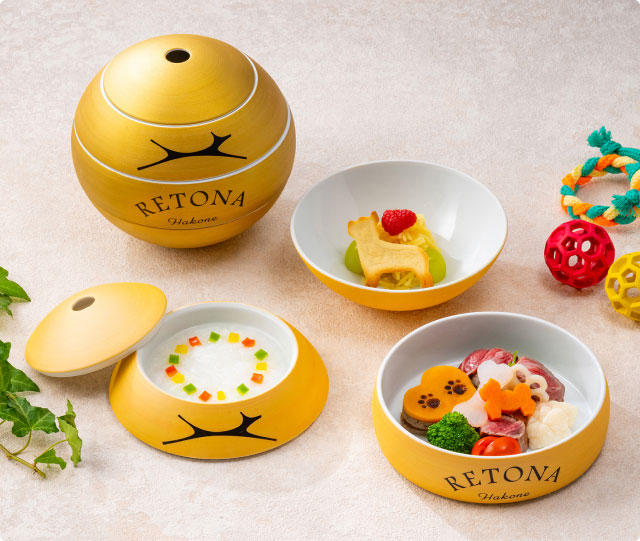 お肉にブロッコリーやトマトが添えられたの愛犬用のお食事